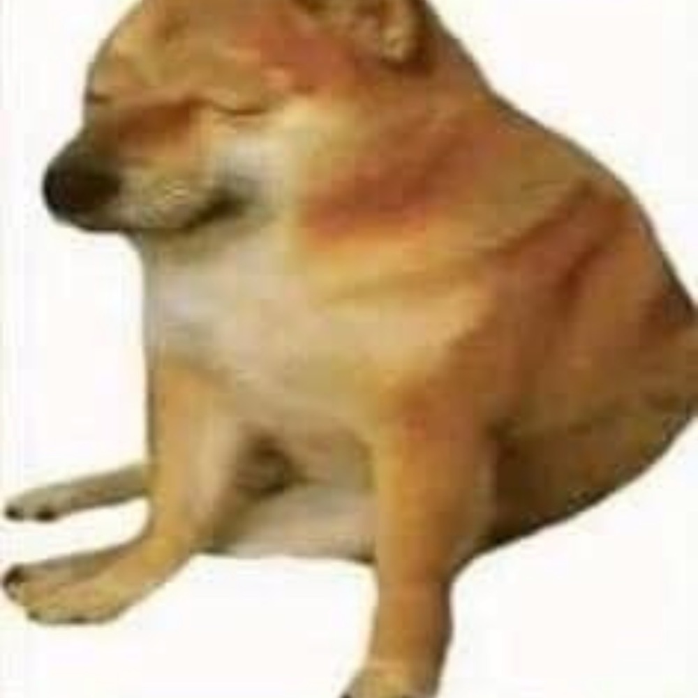 Meet your Posher, Salvador